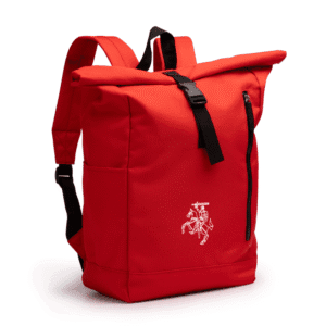 Kasdieninė kuprinė - Vytis